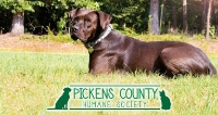 Pickens County Humane Society