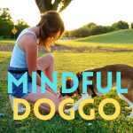 Mindful Doggo