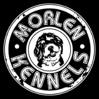 Morlen Kennels