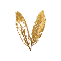 Good Vibes Therapy Center