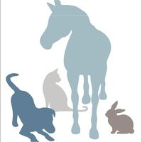 York Veterinary Services