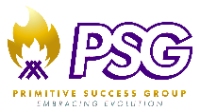 Primitive Success Group LLC