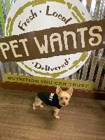 Pet Wants Greenville North