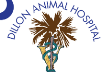Dillon Animal Hospital