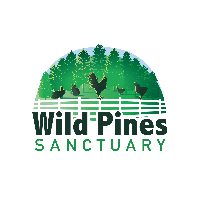 Wild Pines Sanctuary