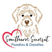 Southern Sunset Poodles and Doodles