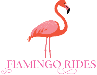 Flamingo Rides