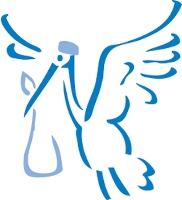 Carolina Vasectomy Reversal