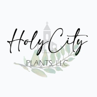 Holy City Plants