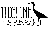 Tideline Tours