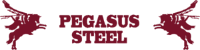 Pegasus Steel