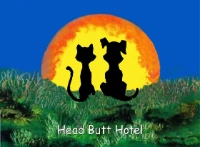 Head Butt Hotel