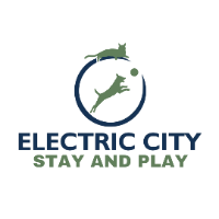 Electric City Stay and Play