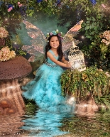 Enchanted Fairies of Easley, SC