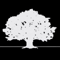 Primary Landscaping LLC