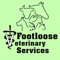 Footloose Veterinary Services, LLC