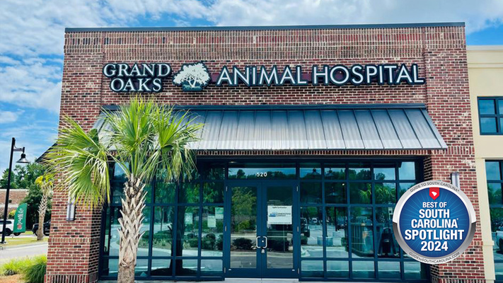 Your Pet’s Health is Priority at Grand Oaks Animal Hospital in Charleston