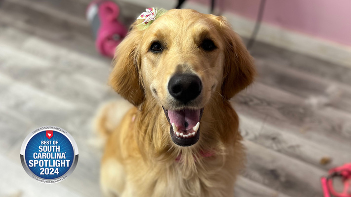 Grooming by Ashley: Transforming Pet Care, One Tail at a Time