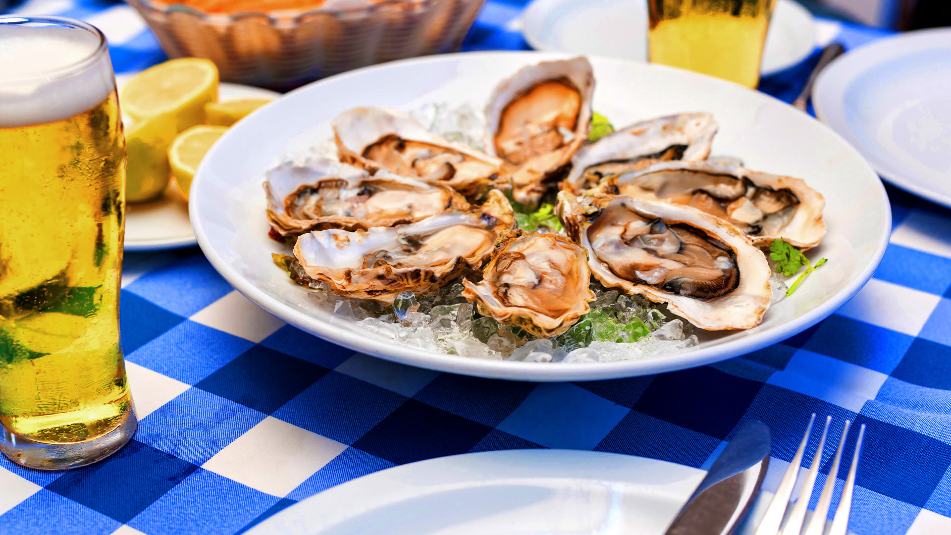 Shuck, Sip, Support: Midlands’ Can’t-Miss Oyster Roast is Back