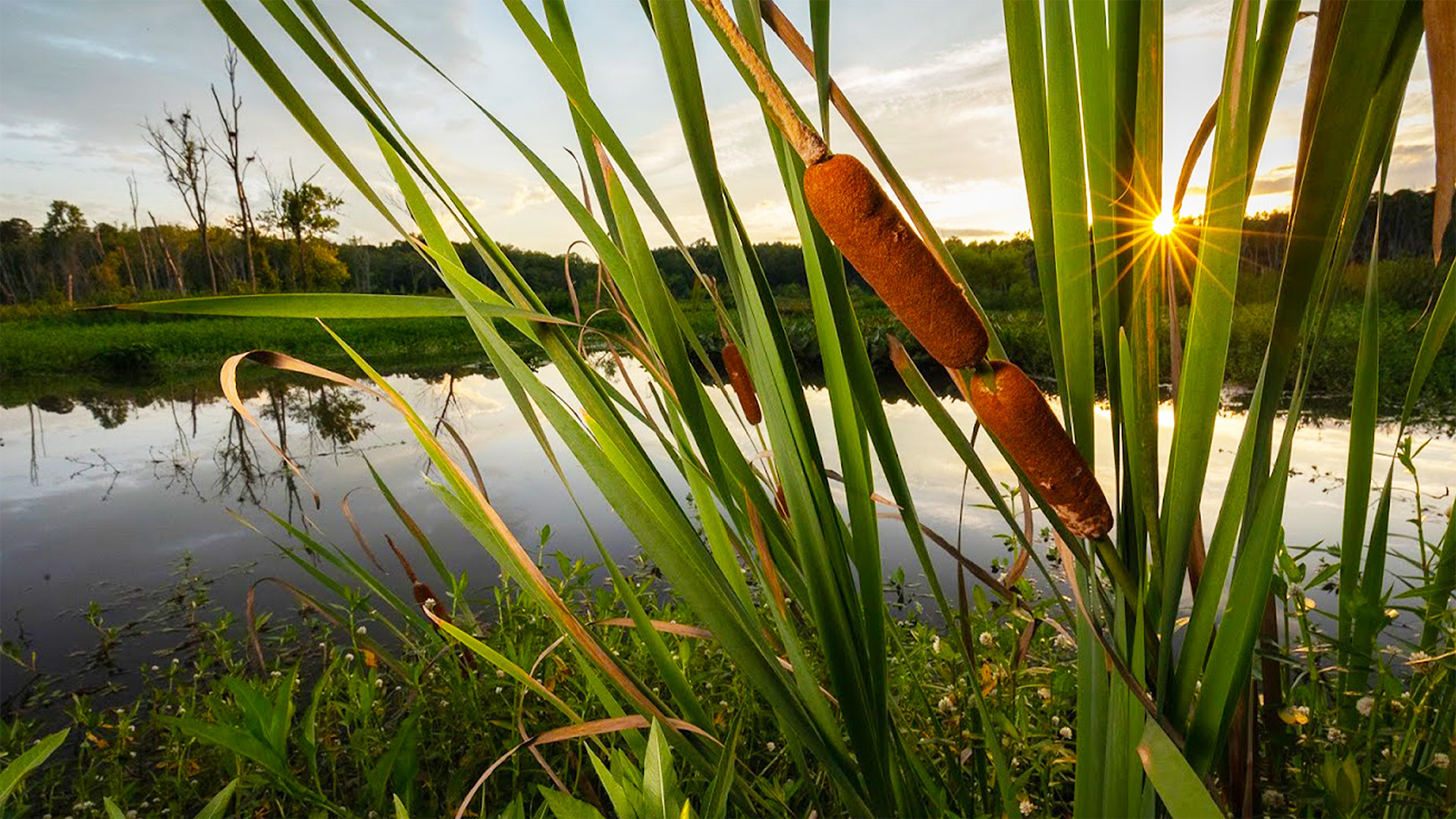 Think Global, Hike Local This Earth Day!