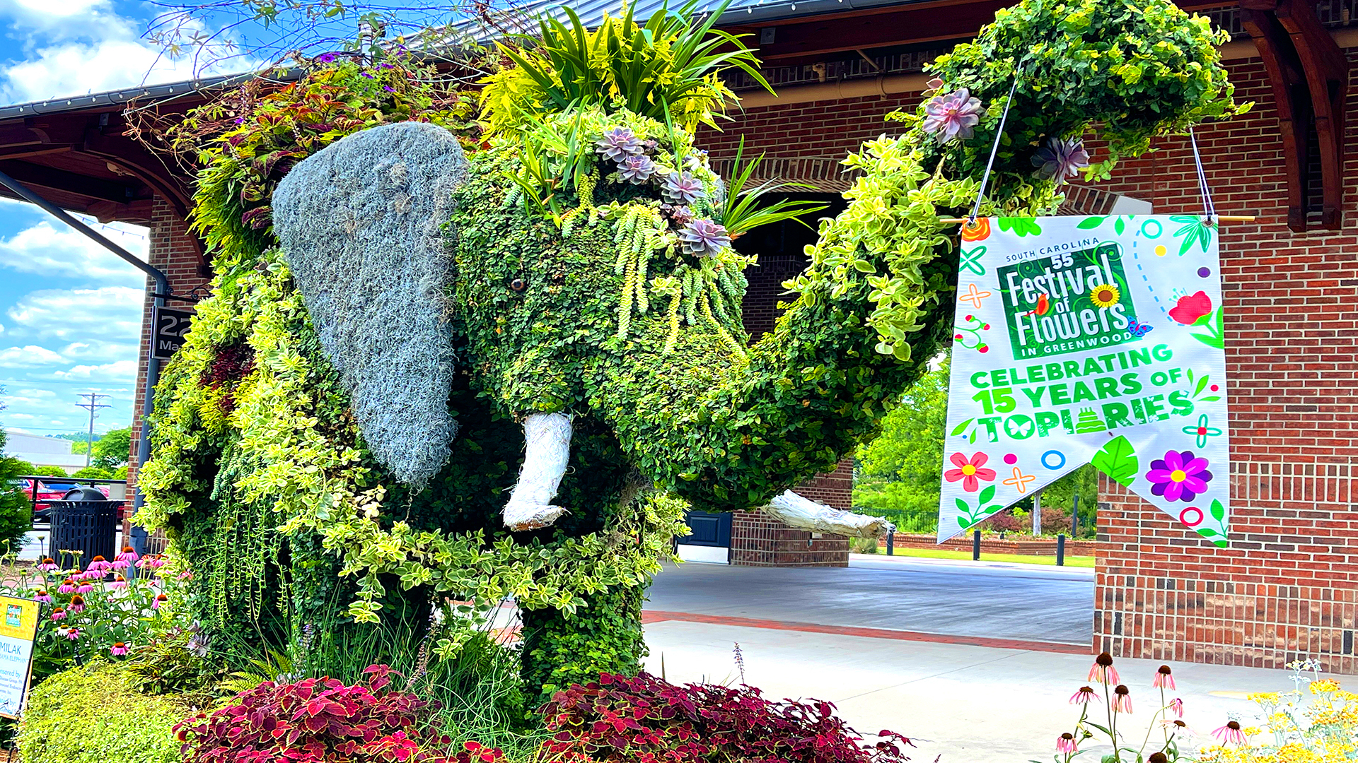 Blooms @ South Carolina Festival of Flowers!